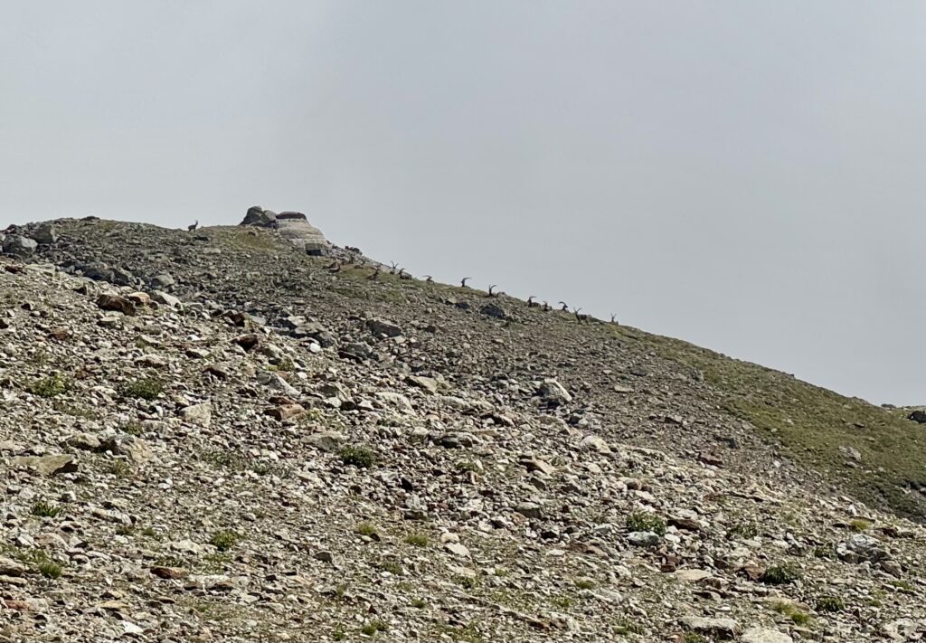 col des pyramides et bouquetins
