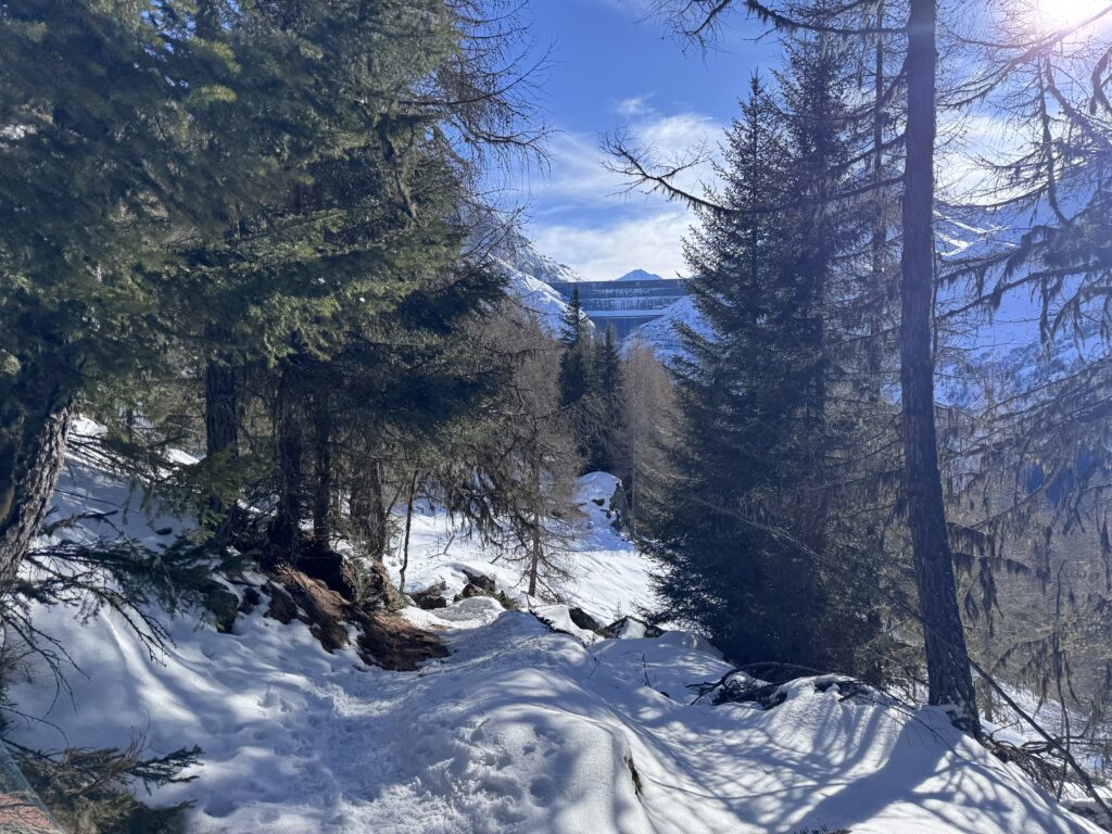 Mélèzes et Grande Dixence