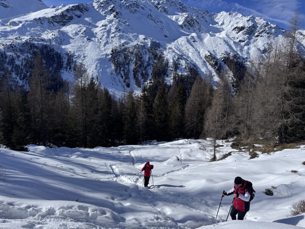 Montée à Novelli